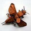 Gryllotalpa gryllotalpa