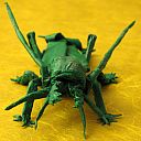 Schizodactylus monstrosus