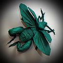 Frog Beetle (Sagra papuana Jacoby)