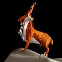 Markhor (Capra falconeri)