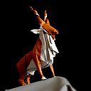 Markhor (Capra falconeri)