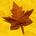 Maple leaf