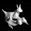 Playing lynx kittens