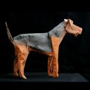 Airedale