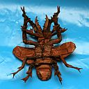 Chiasognathus grantii