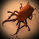 Chiasognathus grantii, ver 2